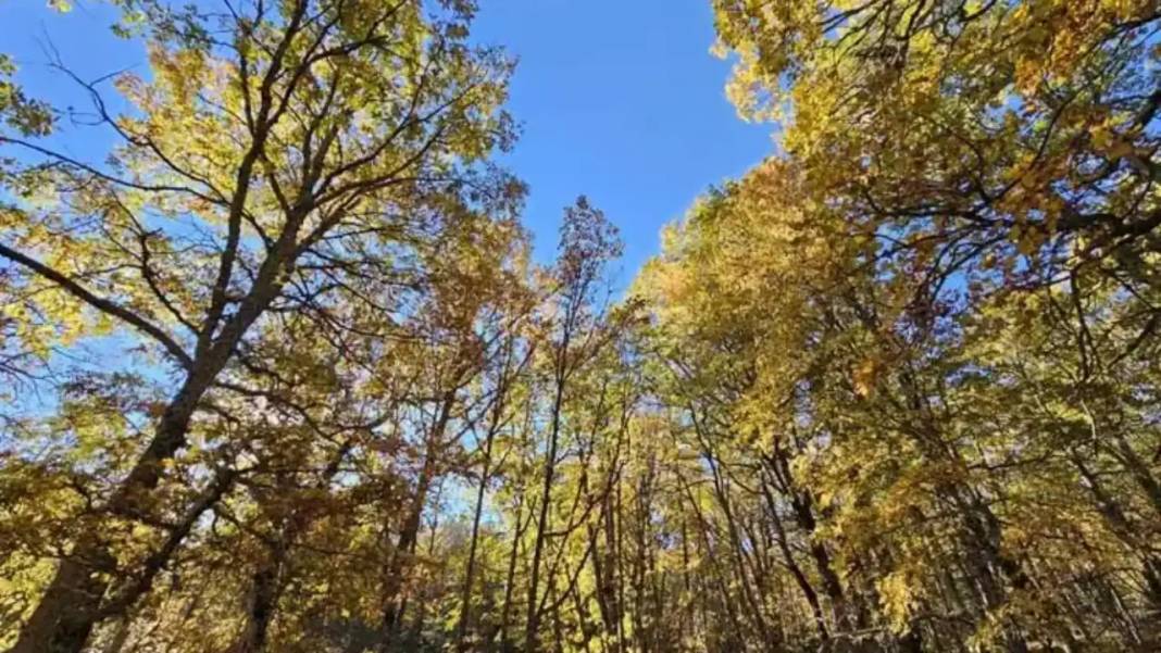 Dünyada Sadece Isparta'da Var! İzinsiz Girenlere 557 Bin TL Ceza 6